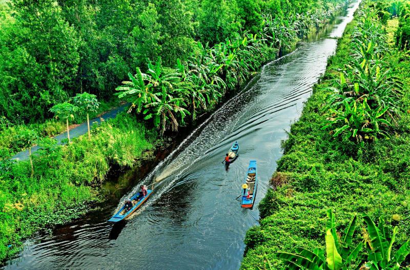 Rừng quốc gia U Minh Thượng
